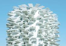 restaurant Montpellier L'arbre Blanc